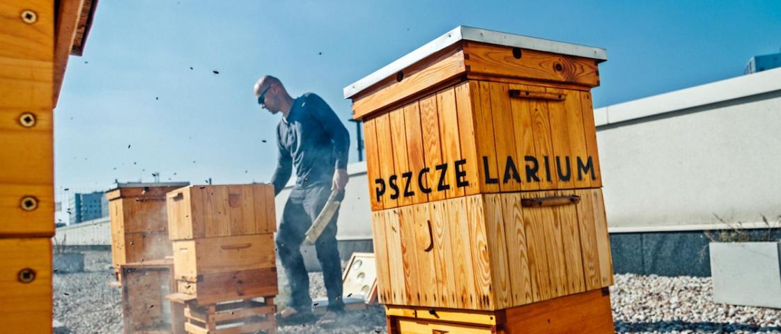 5 najlepszych polskich projektów, które zmieniają nasze miasta .get_the_title().