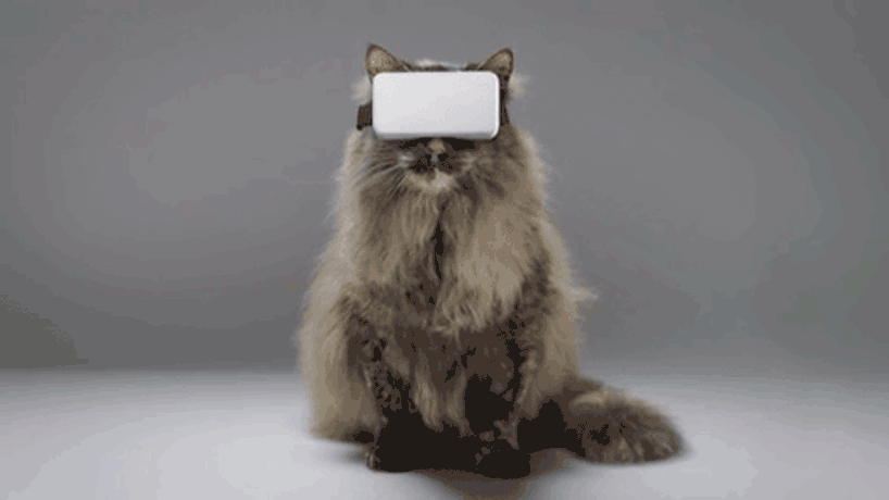 Powstały okulary VR dla kotów. Sprawdź, co oglądają w wirtualnej rzeczywistości .get_the_title().
