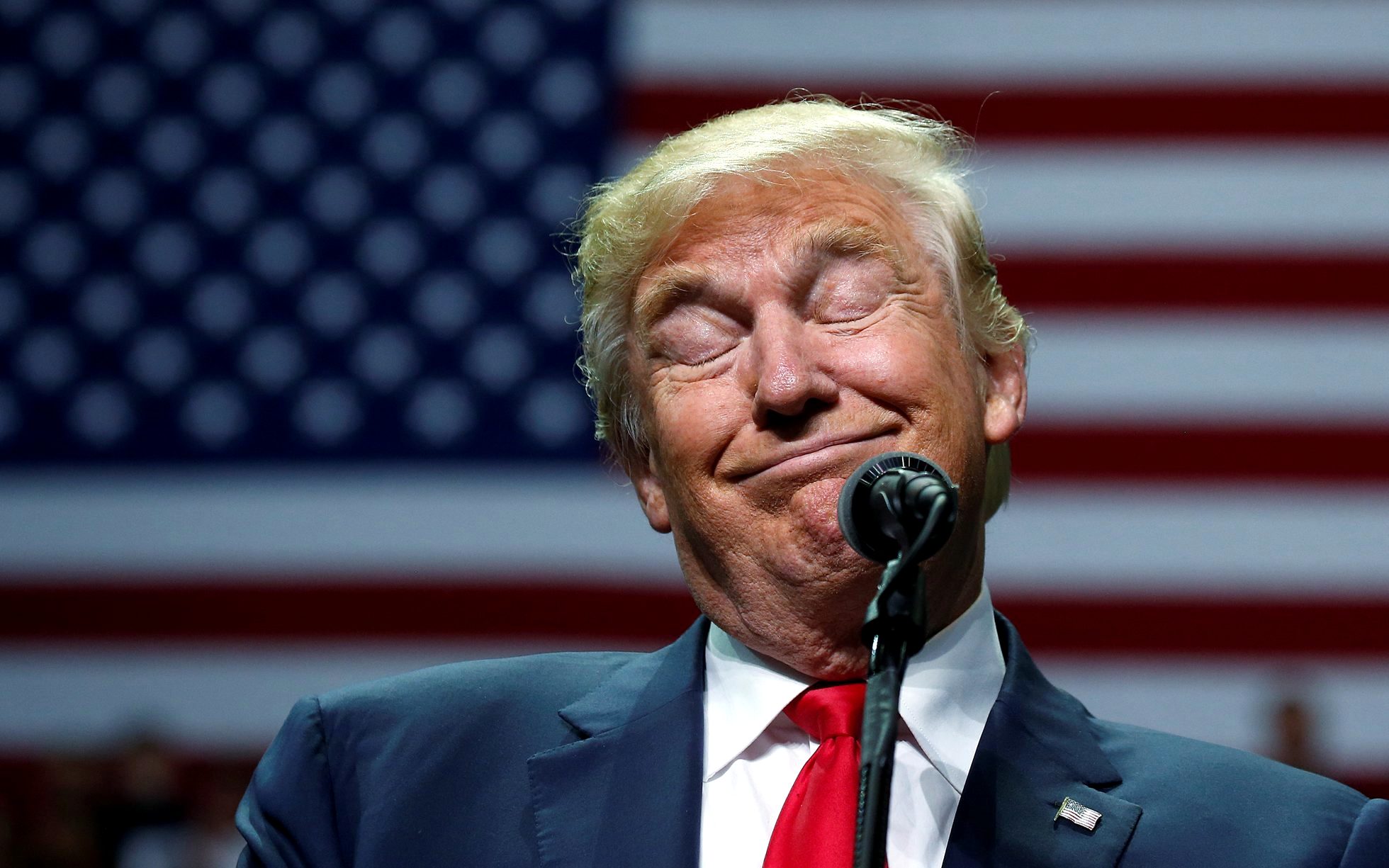 Nowy gatunek został nazwany imieniem Donalda Trumpa, jest to ślepy płaz… .get_the_title().