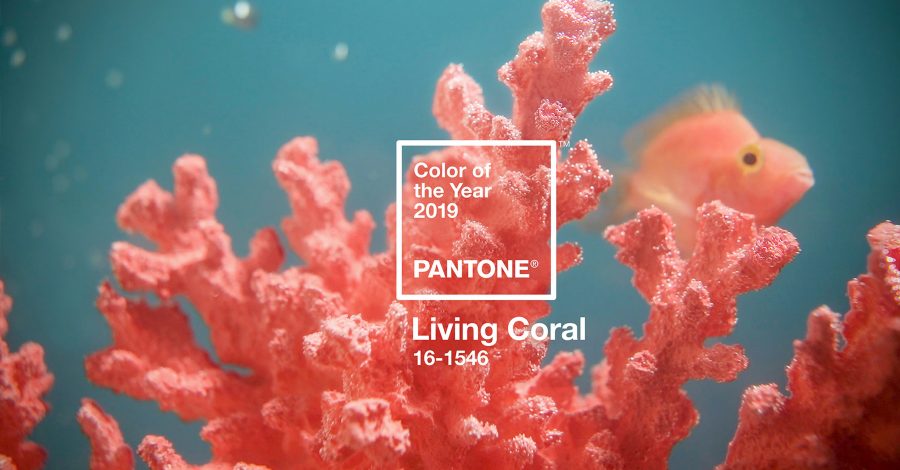Pantone Living Coral – kolor roku 2019 .get_the_title().