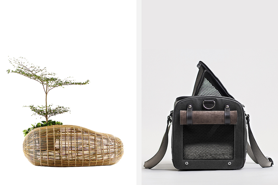 Trendy w designie, które będą dominować w 2019 roku .get_the_title().