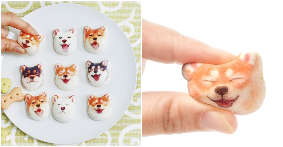 Shiba są tak słodkie, że chciałoby się je zjeść. Teraz można! .get_the_title().