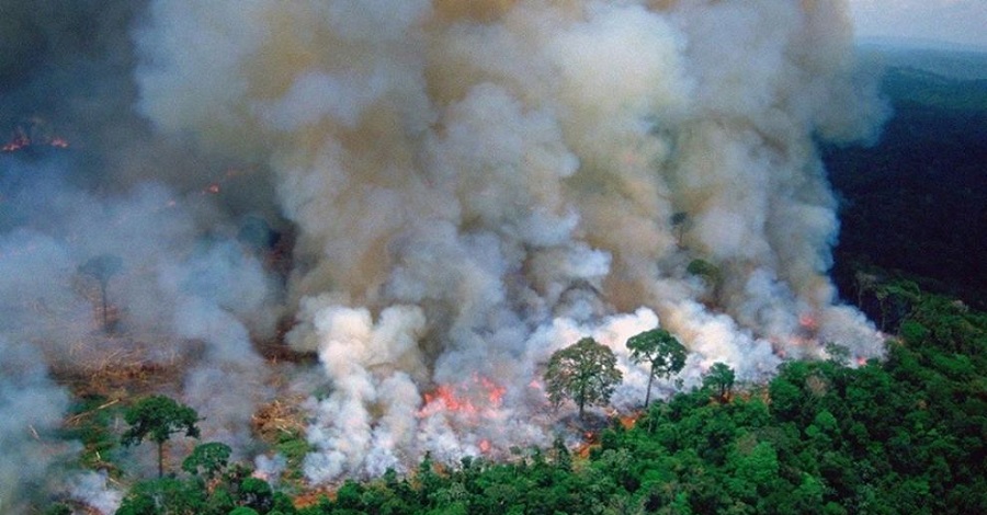 Amazonia płonie. Rekordowa liczba pożarów w lasach deszczowych .get_the_title().