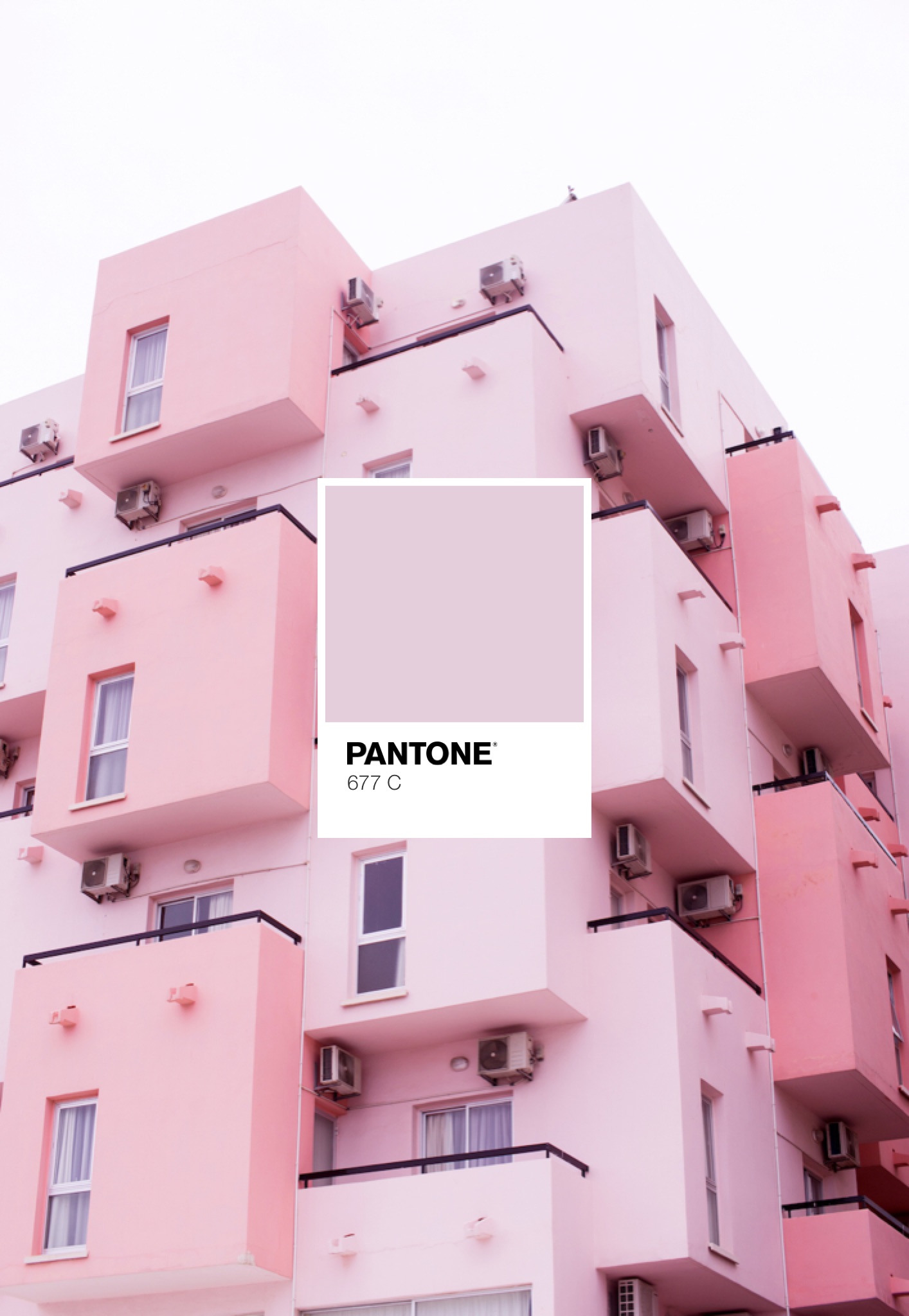 pantone