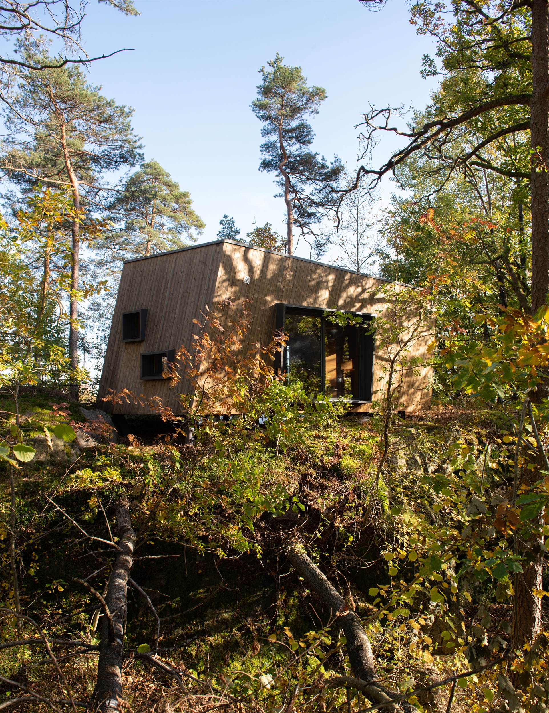 Kabiny w lesie dla pacjentow norweskich szpitali