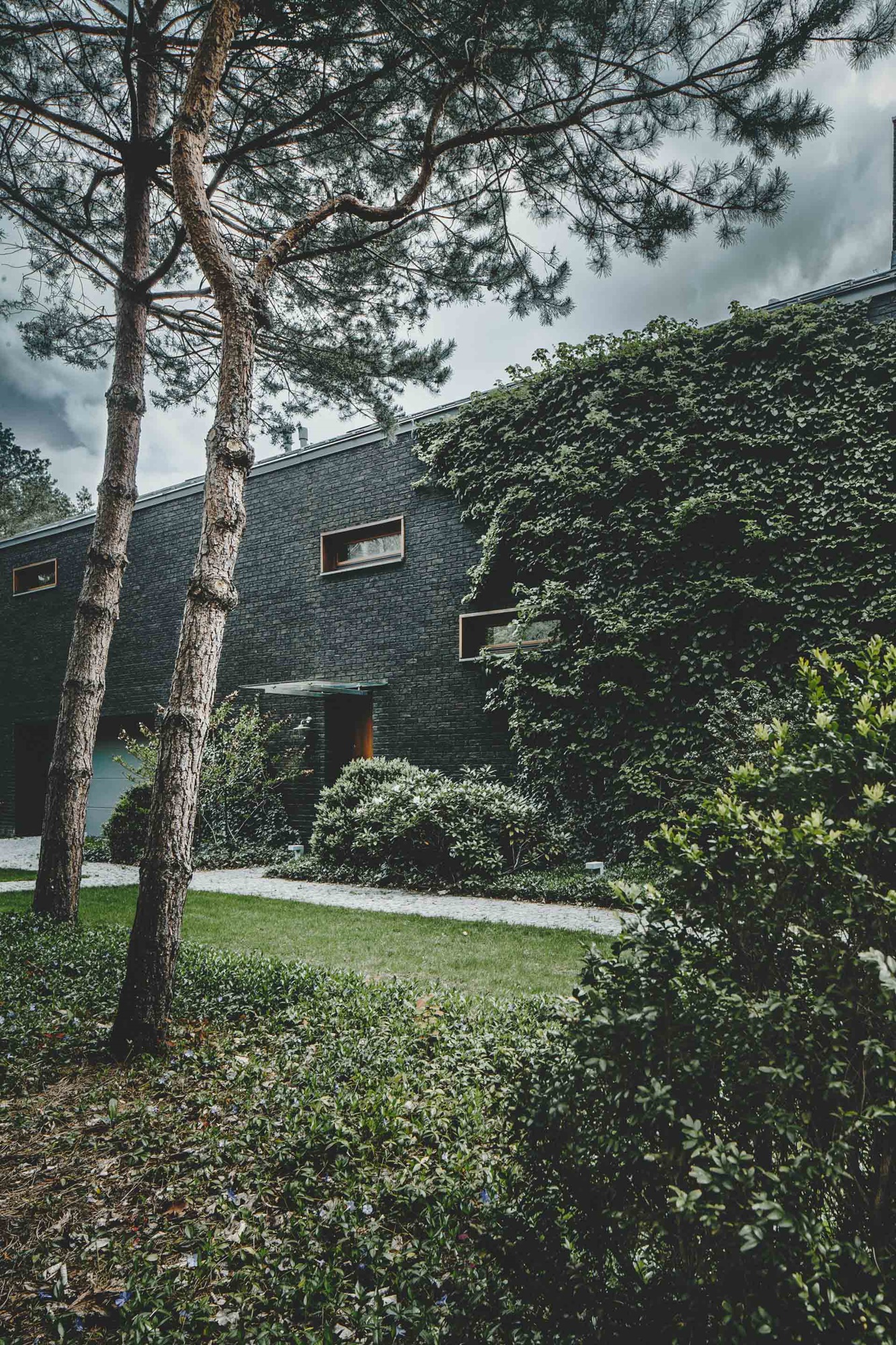 Najlepsze domy w Polsce Jungle House